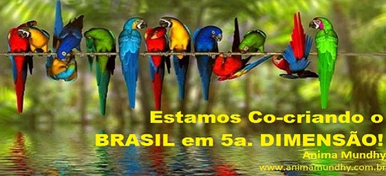 brasil-5a.-dimensao-vibracoes