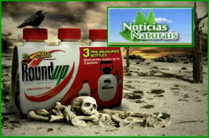 Monsanto Glifosato e o Mercado da Morte