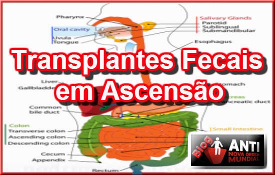 http://www.anovaordemmundial.com/2014/05/video-transplantes-de-fezes-em-ascensao.html