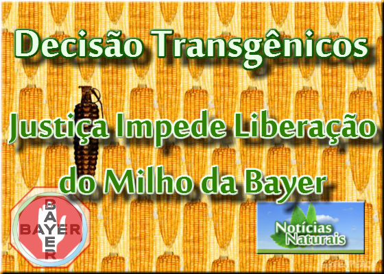 milho_bayer