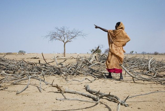 A perda de cultivos por questões climáticas agrava a insegurança alimentar nas zonas afetadas, especialmente na África. Foto: Anne Holmes/IPS