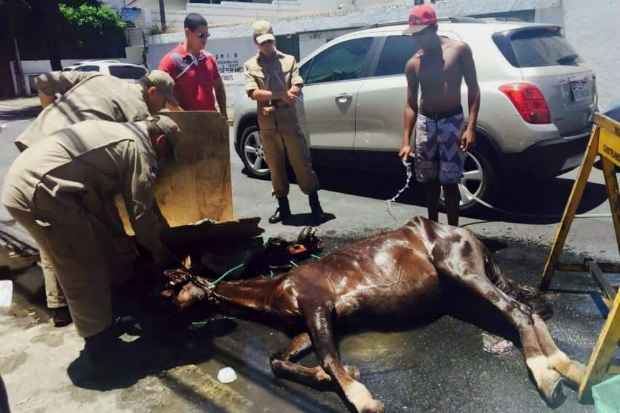 Foto: MDA/Divulgação