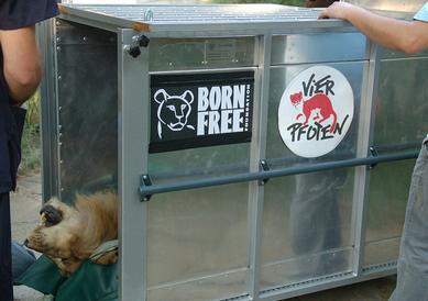 Foto: Born Free Foundation