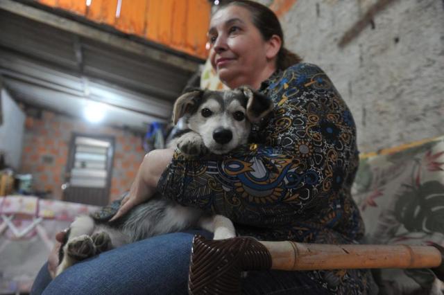 Cãozinho recebe todo o carinho dos novos tutores Foto: Jean Pimentel / Agencia RBS