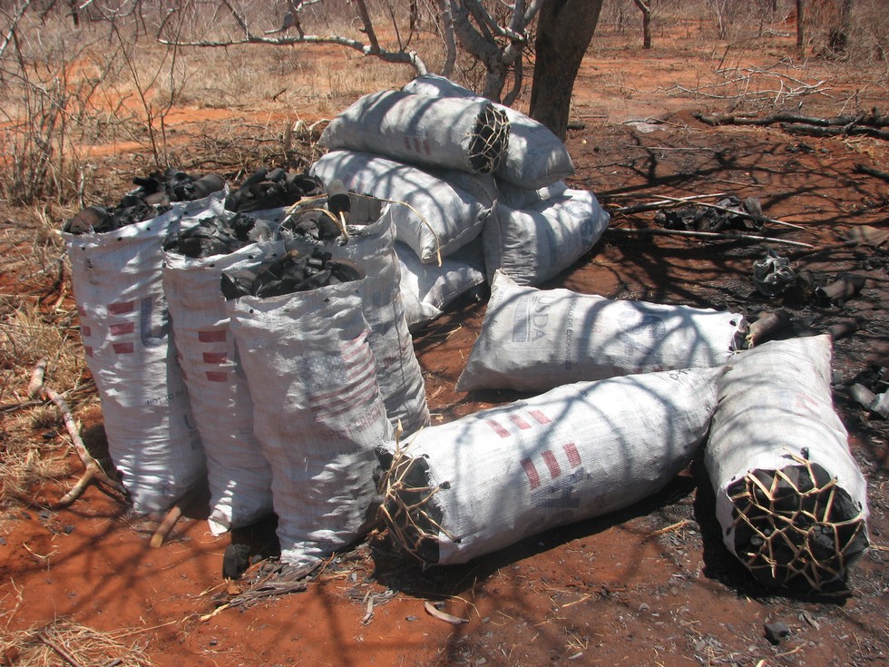 Carvão apreendido pela DSWT. A queima de carvão também mata animais selvagens e destrói seu habitat. Foto: David Shedrick Wildlife Trust