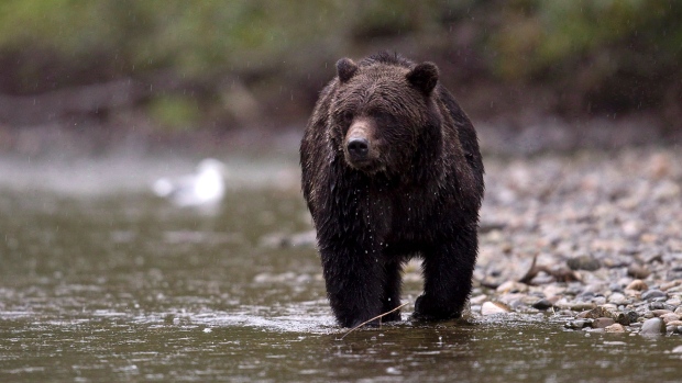 Foto: Canadian Press