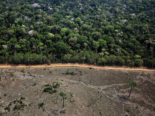 Apesar da desaceleração no desmatamento, cerca de 129 milhões de hectares de floresta – uma área quase equivalente em tamanho à África do Sul – se perdeu desde 1990. Foto: Marizilda Cruppe/Greenpeace 