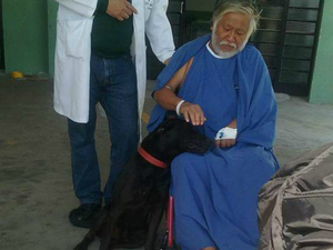 Cão recebeu carinho de tutor internado em hospital (Foto: Gustavo Consoline/TEM Você)