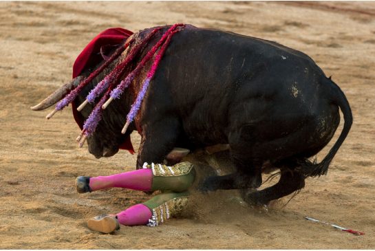 Jimenez Fortes é derrubado por um touro no San Fermin festival, em Pamplona (Espanha), em Julho. Em Agosto, ele foi atingido novamente enquanto performava em uma tourada, em Vitigudino. Foto: Andres Kudacki/AP