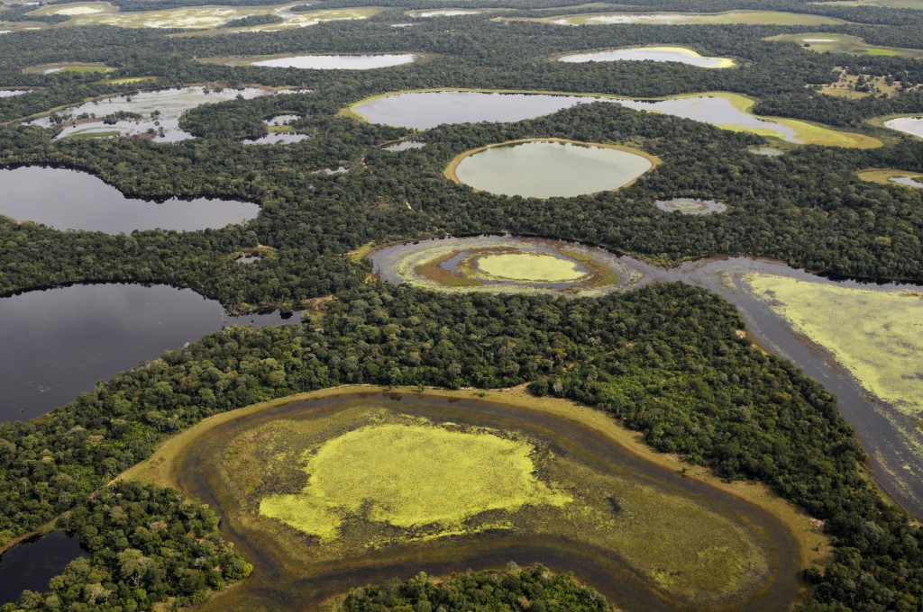  Vista aérea do Pantanal. Foto: © Adriano Gambarini / WWF-Brasil