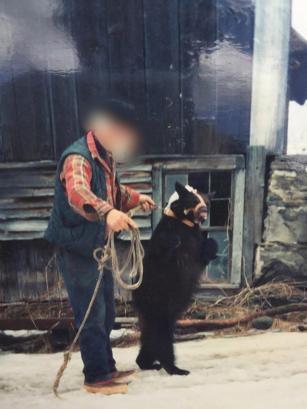 Eles eram forçados a realizar performances, e o confinamento começava a causar sinais de depressão e apatia. Foto: PETA