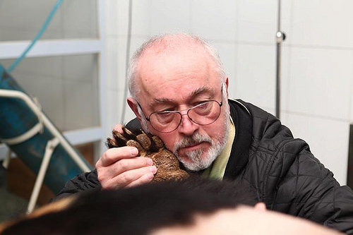 Peter Egan, que resgatou o urso Peter em 2013, junto a ele durante exame veterinário. Foto: Animals Asia