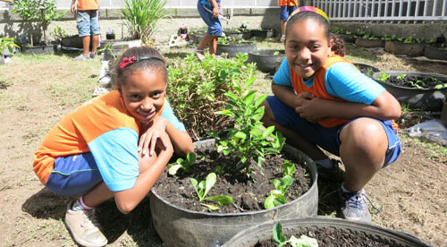 Crianças em uma das 126 hortas escolares de Belo Horizonte. Foto: FAO