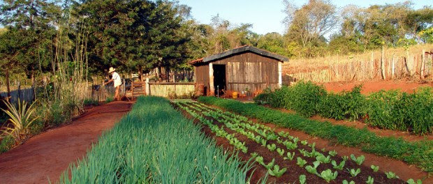 agroecologia