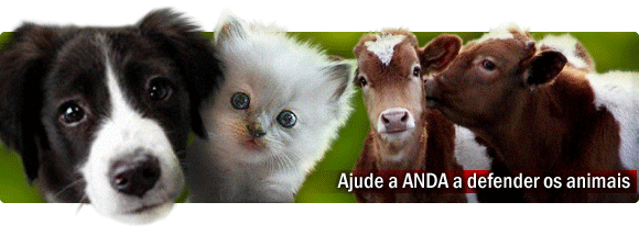 Ajude a Anda a defender os animais