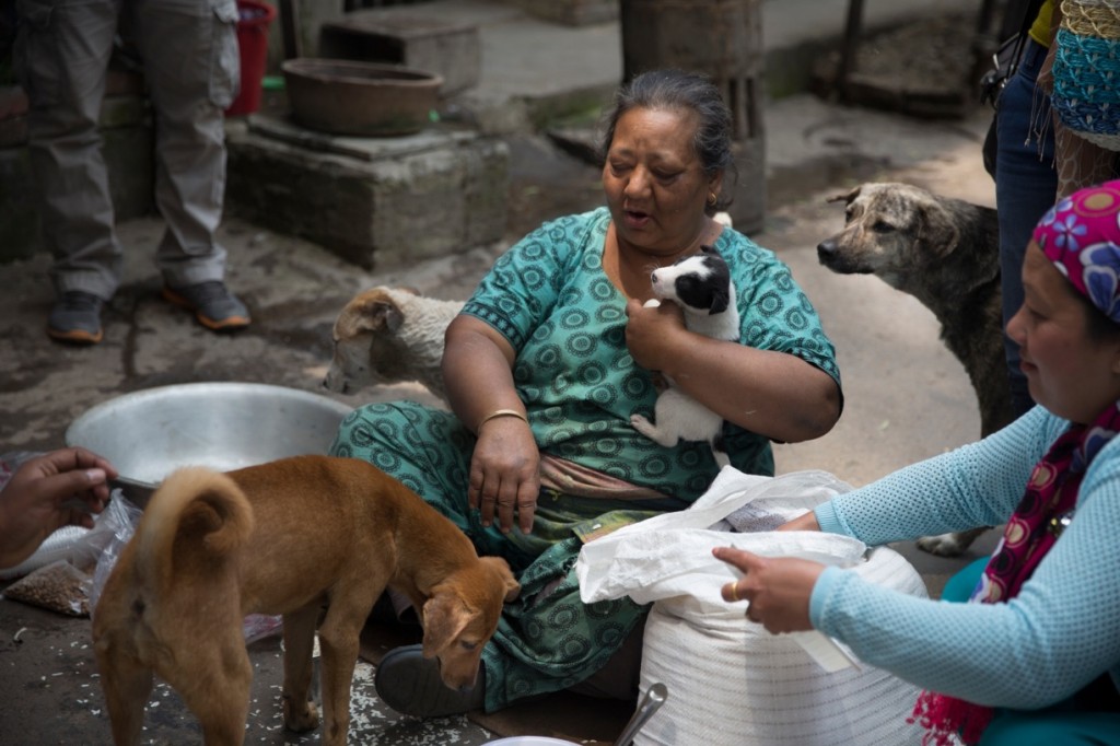 Foto: Jodi Hilton/AP Images for Humane Society International