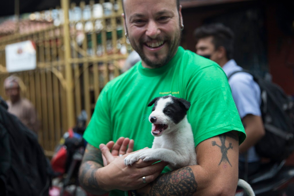 Foto: Jodi Hilton/AP Images for Humane Society International