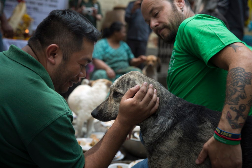 Foto: Jodi Hilton/AP Images for Humane Society International