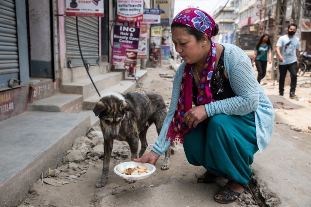 Foto: Jodi Hilton/AP Images for Humane Society International