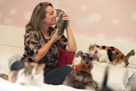 Na casa de Gabriela, passeiam livremente os vários gatos e Lulu, a única cadela da turma