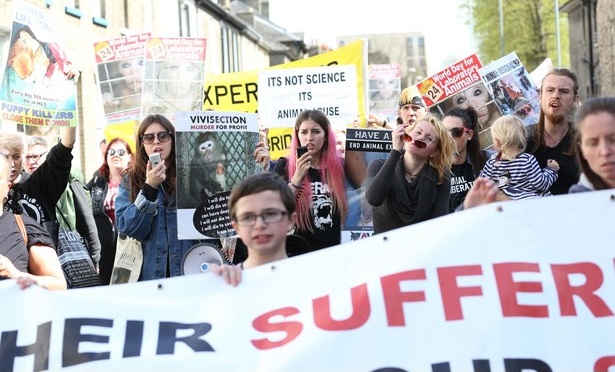 Manifestantes marcharam com cartazes enfatizando que não há desculpa para o abuso contra animais. (Foto: Richard Marsham/Cambridge News)