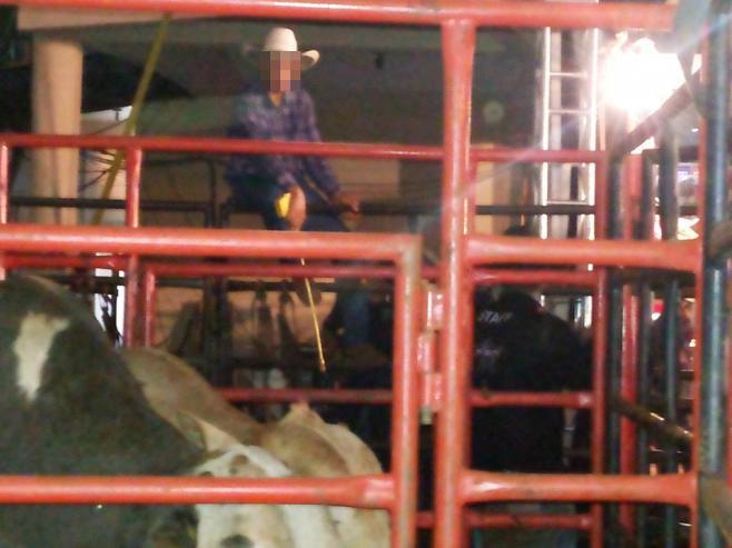 Em foto do grupo, peão segura espécie de teaser elétrico, proibido em leis federais, enquanto aguarda para "preparar" os animais para pular na arena (Foto: Reprodução/Londrina sem Rodeios)