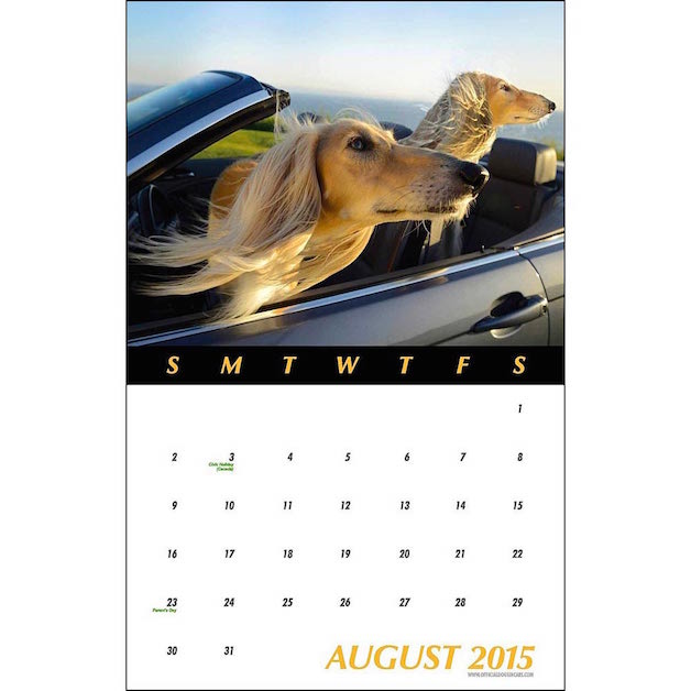 cachorro-calendario-14