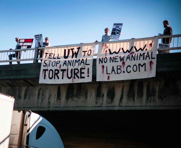 Ativistas protestaram no dia 8 de março com cartazes em estrada em Seattle