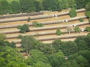 Uma fazenda de criação de visiones fotografada do auto nas investigações de Esseri Animali