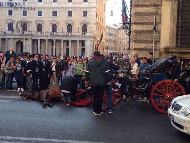 Incidente na principal rua de Roma reativa a discussão sobre o uso dos animais em meio urbano - Foto: LAV