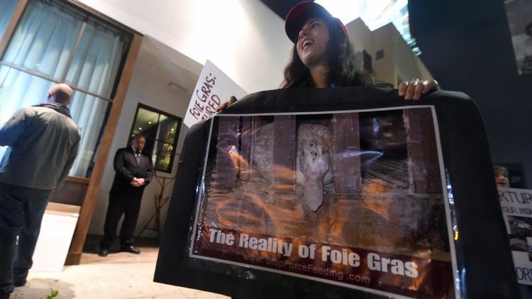 Ativistas protestam contra a lei que derruba a proibição de foie gras na Califória - Foto: Frederic J. Brown / AFP/Getty Images