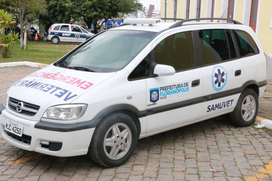 Um veículo foi colocado à disposição com um motorista, e dois médicos veterinários irão se revezar no atendimento (Foto: Prefeitura de Florianópolis / Divulgação)