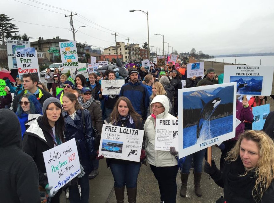 Protesto pela libertação de Lolita em Seattle. Foto: Jeff Widmer