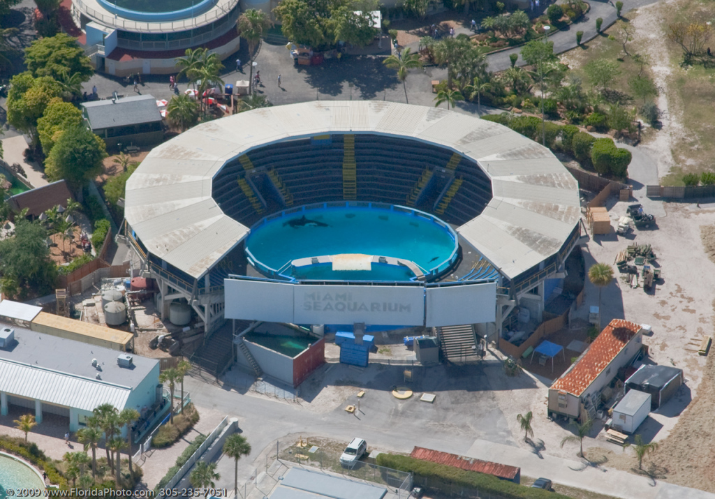 Lolita vive em um pequeno tanque estéril há 44 anos.