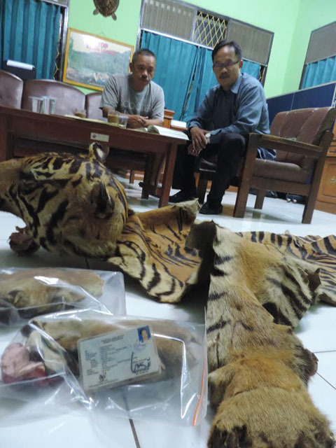 Foto: (WCS Wildlife Crimes Unit)