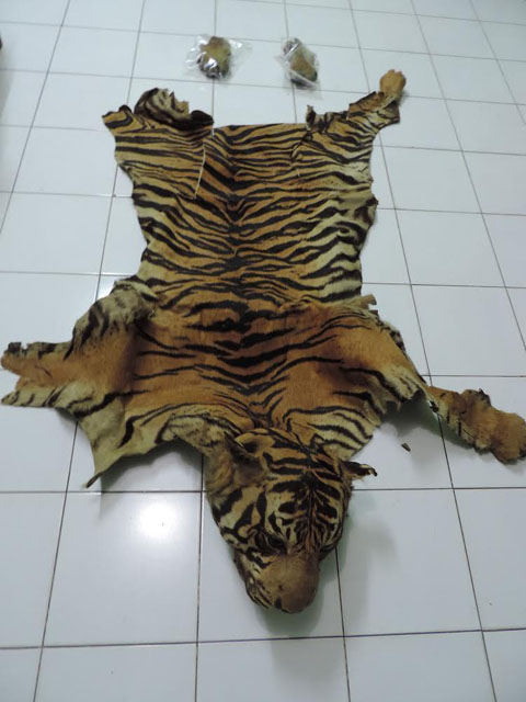 Foto: (WCS Wildlife Crimes Unit) 