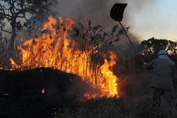 Incêndios florestais no DF