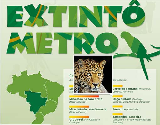 Extintômetro