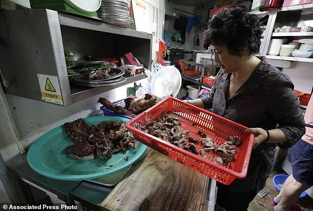 South Korea Dogs Dying Delicacy