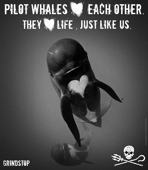 Foto: Sea Shepherd