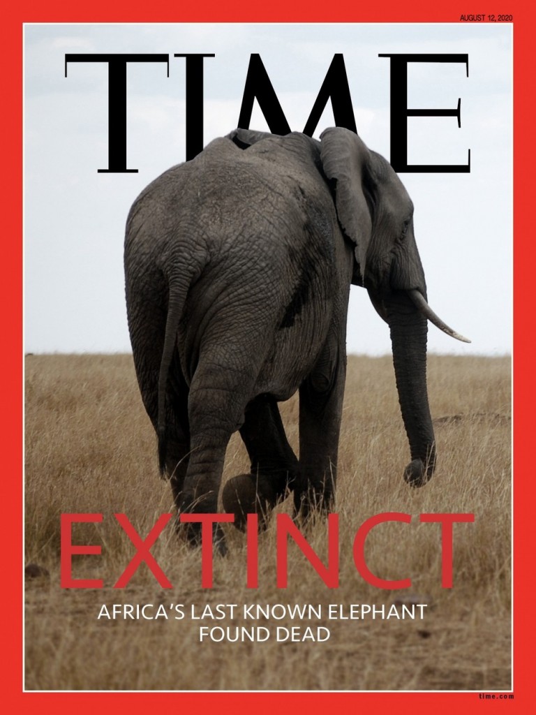 Capa ficcional de revista, que pode vir a ser real no futuro: "12 de Agosto de 2020: Último elefante da África é encontrado morto". 