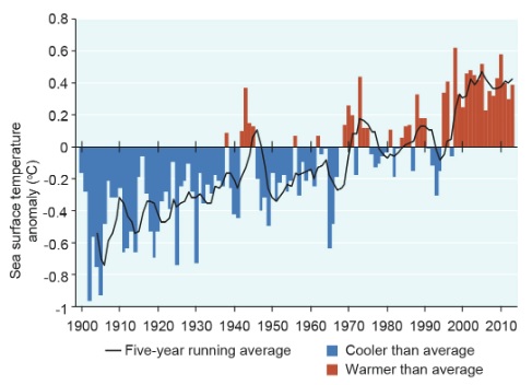 temperatura%20do%20mar Mudança climática é a principal ameaça à Grande Barreira de Corais