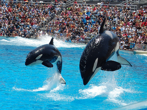 SeaWorld_San_Diego_Ca