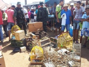 Alguns animais estavam debilitados entre filhotes e aves raras (Foto: Polícia Militar/Divulgação)