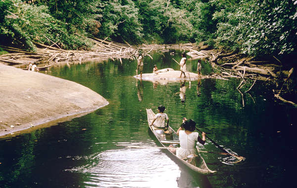 Os Akawaio e Arekuna pescam no rio Mazaruni e seus afluentes. A barragem inundaria as terras das tribos e destruiria para sempre uma área famosa pela sua paisagem e biodiversidade.