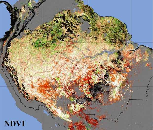 Estudo diz que risco de seca no sul da Amazônia é maior do que se pensava