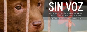  nova investigação realizada pela ONG Igualdad Animal sobre o comércio de carne de cachorro. Assine a nossa petição em: SINVOZ.ORG. (Foto: Reprodução)