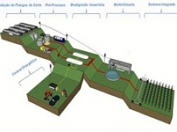 Planta em 3D do sistema modelo para aproveitamento energético de cama de frangos de corte